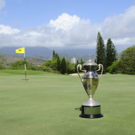Second view of cup on golf course