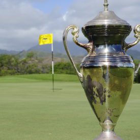 Another view of cup on golf course